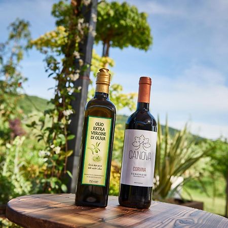 Agriturismo Canova Negrar Eksteriør bilde